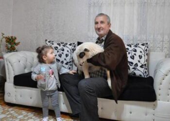 2 yaşındaki Ela kuzusunu biberonla besliyor