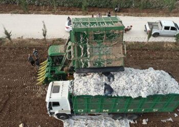 Makineli hasat pamuk üreticisinin yüzünü güldürüyor