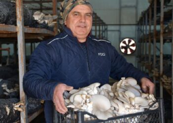 Köyüne dönerek tesis kurdu, şimdi taleplere yetişemiyor