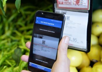 Meyve ve sebzeye ‘cep’ten denetim