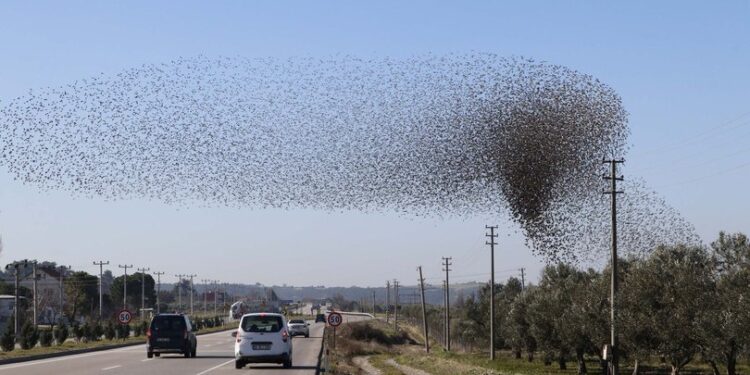 Gökyüzü birden karardı… Sürücüler telefonlara sarıldı!