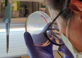 Aşı teknolojisinde devrim yaratacak! ‘Mikrokürecik aşısı’nda çok önemli gelişme…