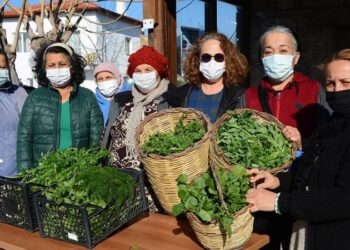 Ege’nin otları kuşaktan kuşağa aktarılıyor