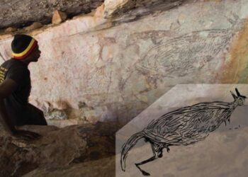 Avustralya’nın en eski kaya çizimi keşfedildi