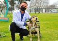 Otomobilin çarptığı ‘Kırçıllı’ hayata özel yürüteçle tutundu