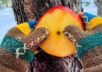 Minikler, kuşların aç kalmaması için ağaçlara meyve astı