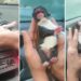 Esenyurt’ta donmak üzere olan yavru köpeği araç klimasında ısıtarak kurtardılar