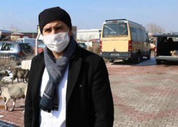 Esnaftan topladığı yiyecekleri sokak köpeklerine dağıtıyor