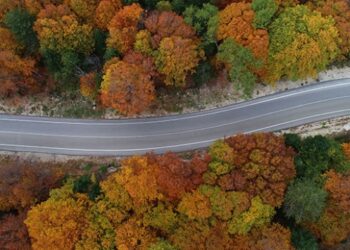 Sonbahar Uludağ’ı rengarenk ağaçlarla süsledi