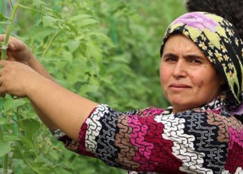 Seracı kadın hemcinslerine ilham kaynağı oluyor