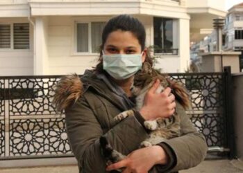 Elif, bağışlarla sokak kedilerini tedavi ettiriyor