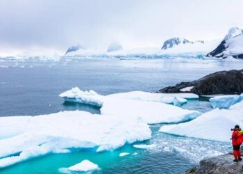 Antarktika’da hiç ışık görmeyen deniz canlıların yaşadığı keşfedildi