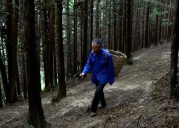 33 yılını ağaç dikmeye adadı, tek isteği gelecek nesillere yeşil bir dünya bırakmak