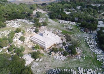 Patara dünyaya açılıyor