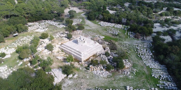 Patara dünyaya açılıyor
