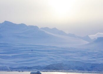 Türk bilim insanı Burcu Özsoy’un Antarktika’daki bilim yolculuğu