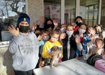 Çocuklar, sokak hayvanları için kolları sıvadı