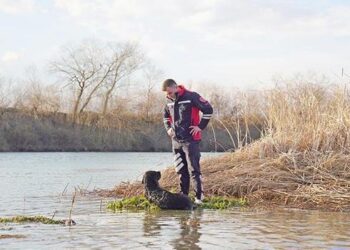 Mahsur kalan köpeğe itfaiye eli