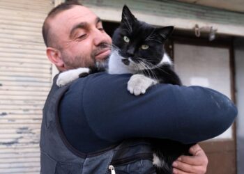 Sigara parasıyla sokak hayvanlarını besliyor