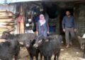 3 manda ile başladılar! Şimdi talebe yetişemiyorlar