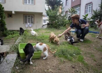 Hayatını evinde beslediği 50 sevimli dostuna adadı