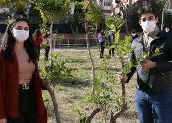 Okul bahçeleri meyve bahçesine dönüşüyor