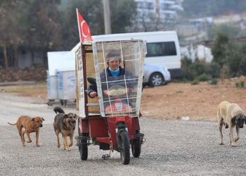 Gülümser Yılmaz’ın ‘iyilik’ yolculuğu: Üç tekerlekli bisikletiyle sokak hayvanlarının karnını doyuruyor