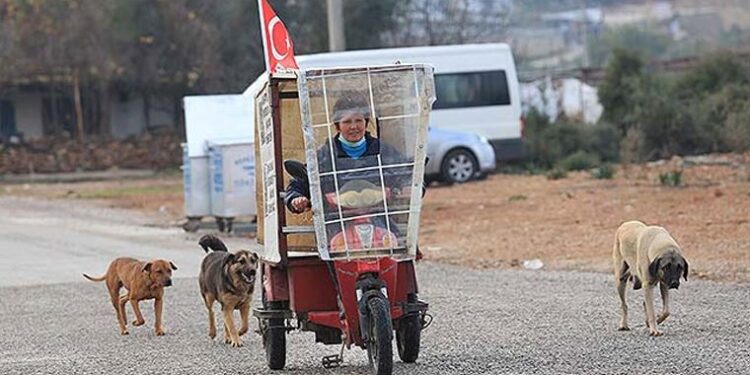 Gülümser Yılmaz’ın ‘iyilik’ yolculuğu: Üç tekerlekli bisikletiyle sokak hayvanlarının karnını doyuruyor