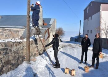 Kuşları korumak için yaptılar… Yürekleri ısıttılar
