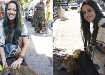 Gaziantep sokaklarının kedileri İtalyan Lucato’ya emanet