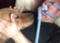 Çin’de köpeğin hasta sahibine olan vefası duygulandırdı