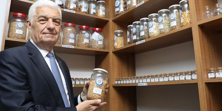 Muğla’da yerel tohumlar testten geçirilip halka dağıtılıyor
