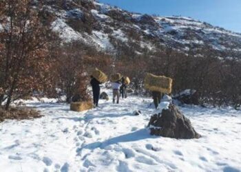 Elazığ’da jandarmadan dağ keçilerine kuru ot