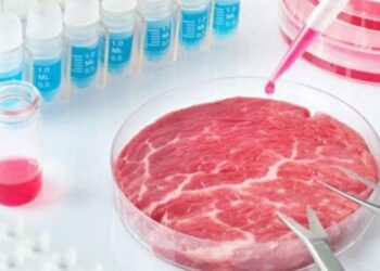 Laboratuvar ortamında yeni et türü üretildi