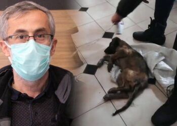Donmak üzereyken bulduğu köpeği hayata döndürdü