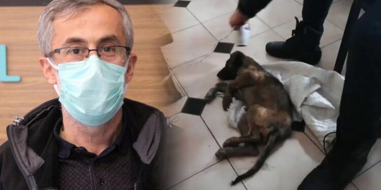 Donmak üzereyken bulduğu köpeği hayata döndürdü