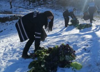 Alaşehir’de pazarlardan toplanan sebzeler yaban hayvanları için doğaya bırakıldı