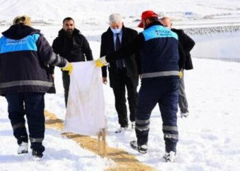 Van’da yaban hayvanları için doğaya yem bırakıldı