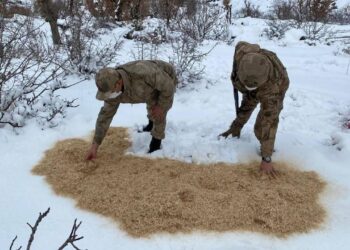 Jandarma yaban hayvanlarını unutmadı