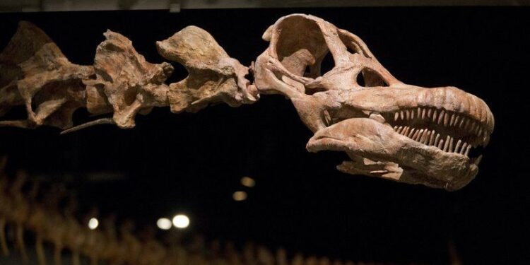 Arjantin’de 98 milyon yıllık dinozor fosili bulundu: Yeryüzündeki en büyük hayvan olduğu düşünülüyor