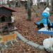 Sokak kedilerine ‘Kedi Kasabası’