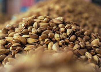 Antep fıstığında rekor artış müjdesi