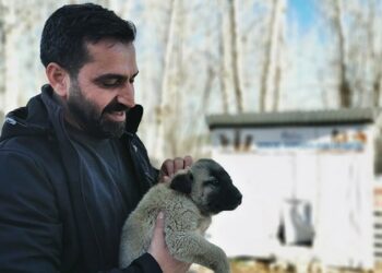 Ovacık Belediye Başkanı, sokak hayvanları için makam ve belediye araçlarını sattı