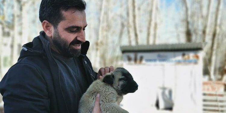 Ovacık Belediye Başkanı, sokak hayvanları için makam ve belediye araçlarını sattı