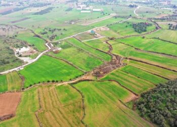 Bodrum’da ‘Tarımsal Üretimde Kümelenme Modeli’ başlıyor