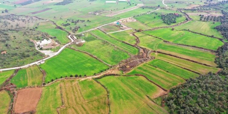 Bodrum’da ‘Tarımsal Üretimde Kümelenme Modeli’ başlıyor