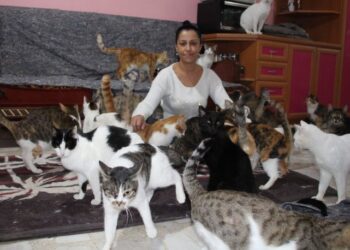 20 yıldır ‘Kedi çobanı’