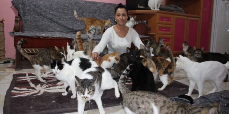 20 yıldır ‘Kedi çobanı’