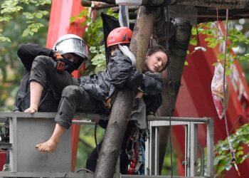 Almanya’da 50 bin çevreciden ağaçlar için gösteri
