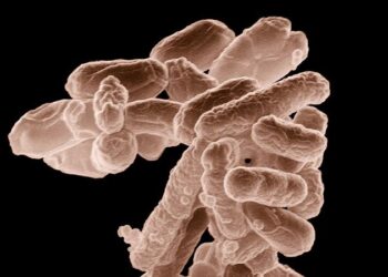 Yapay zekâ bir kanser türüne daha yardımcı olacak
